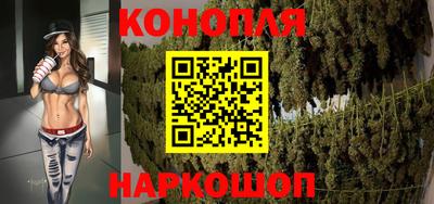 сатива Обь
